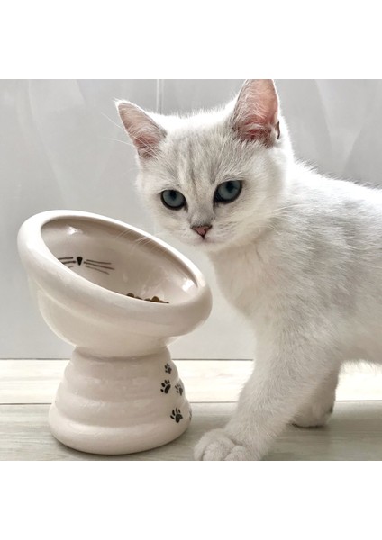 Kedi Mama Ve Su Kabı Seti, Yüksek, Beyaz, Kedi, Özel, Yeni, Beyaz, Pati, Cat,cat Food, White, Water fiyatları