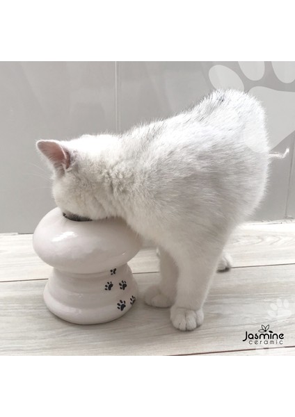 Kedi Mama Ve Su Kabı Seti, Yüksek, Beyaz, Kedi, Özel, Yeni, Beyaz, Pati, Cat,cat Food, White, Water indirimleri