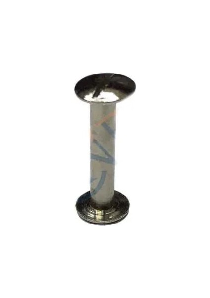 Cilt Menü, Katalog, Kartela Vidası, 20 mm - Nikel, 100 Adet