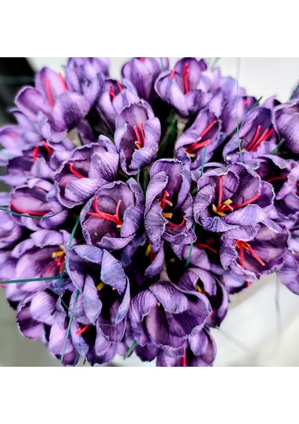 İran Safran negin modelleri