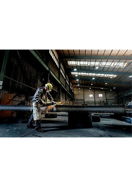 We 24 – 230 Mvt Açılı Taşlama Makinası, 606469000 fiyatları