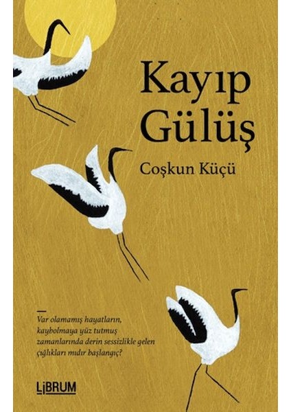 Kayıp Gülüş