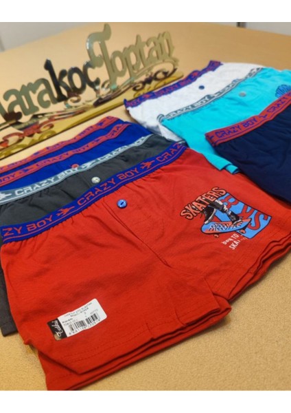 0253 Erkek Çocuk Desenli Boxer Asorti