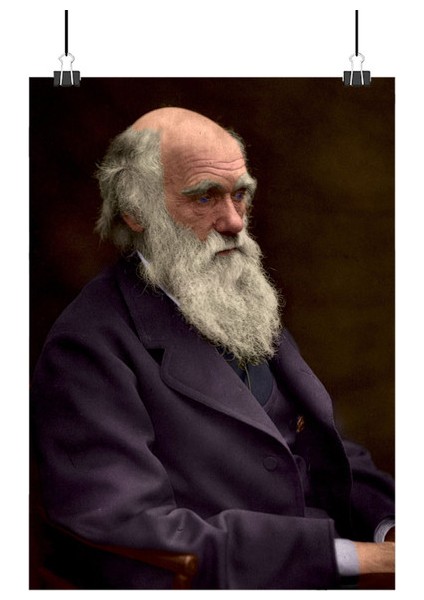 Charles Darwin Poster4 - Retro Duvar Dekoru