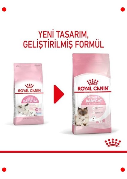 Anne Yavru Kedi Maması 4 kg fırsatları