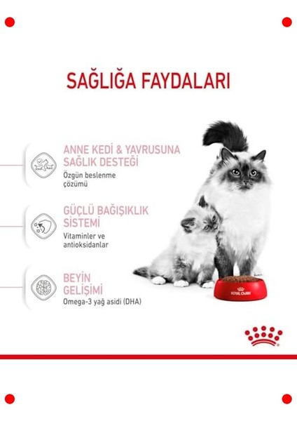 Anne Yavru Kedi Maması 4 kg indirimleri