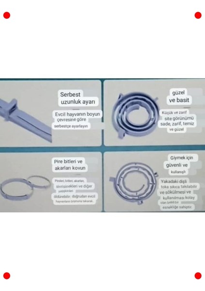 Kediler Için Kene, Pire ve Parazit Koruyucu Tasma modelleri