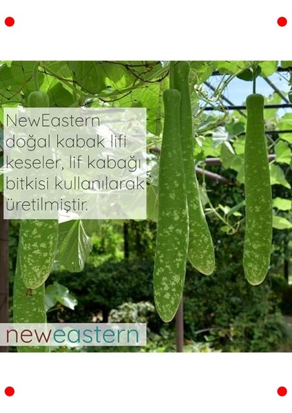 Doğal Kabak Lifi Banyo Kesesi - Cilt Yenileyici fırsatları