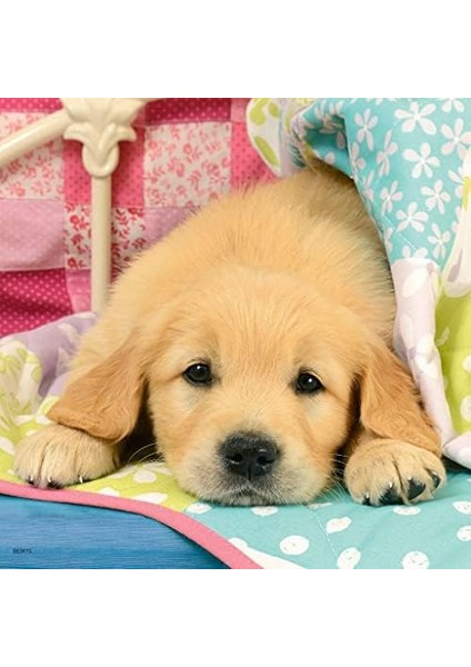 3X49 Parça Puzzle Puppies Renkli 3+ fiyatları