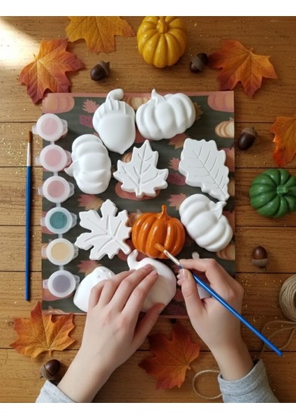 Sonbahar Temalı Taş Boyama Seti-Etkinlik-Hediye-Hobi-Sanatt-Eğlence-Bayramh Hediyesi fiyatları