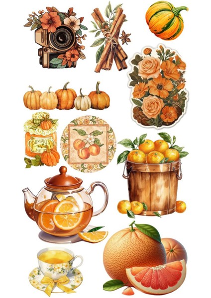 Sebze Meyve Telefon Laptop Notebook Tablet Defter Matara Stiker Etiket ST2112