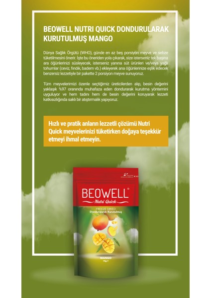 Nutri Quick – Freeze Dried Dondurularak Kurutulmuş Mango