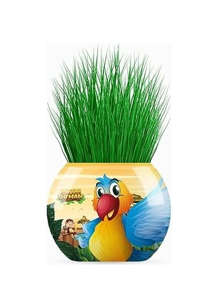 Orman Temalı Xl Çim Adam 6&apos;lı Set – Çocuklar Için Eğitici ve Bitki Yetiştirme Kiti fiyatları