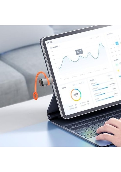 OT-3810 Usb-A 3.0 - Usb-C Siyah Otg fiyatları