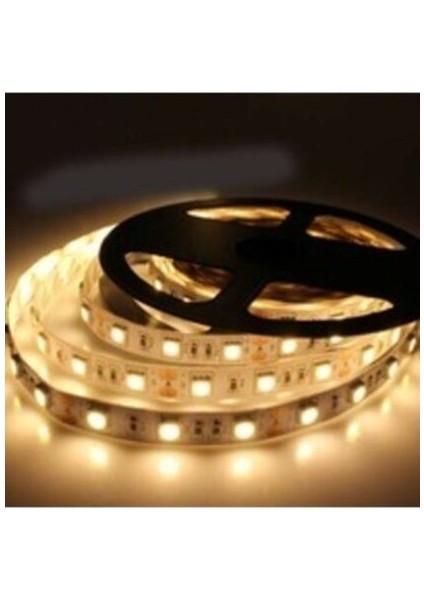 CT-4481 Şerit LED 10 Çipli Günışığı 3200K Iç Mekan 12V ( 10 Metre ) fiyatları