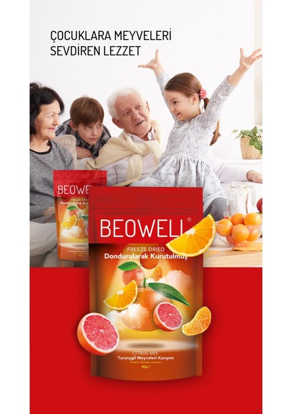 Citrus Mix – Freeze Dried Dondurularak Kurutulmuş Narenciye Meyveleri fiyatları