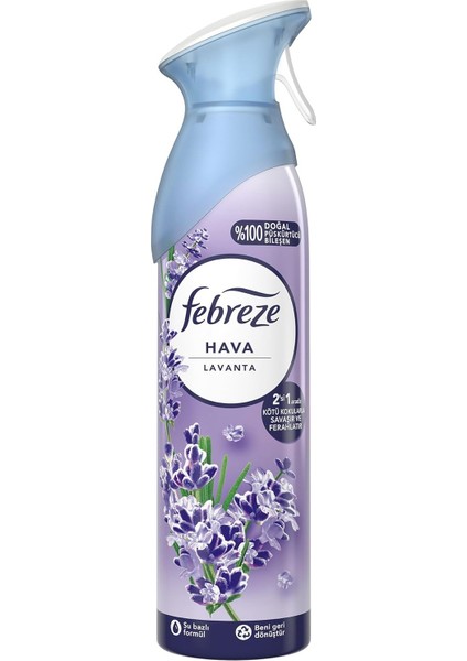 Lavanta Oda Parfümü