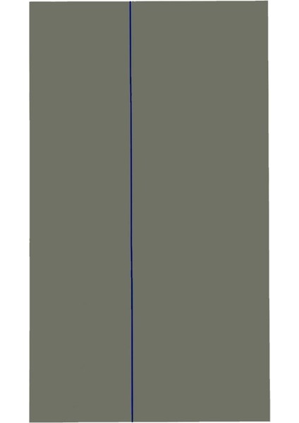 Samsung A40 A405 Polarize