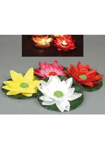 Nilüfer Su Feneri - Lisinya fiyatları