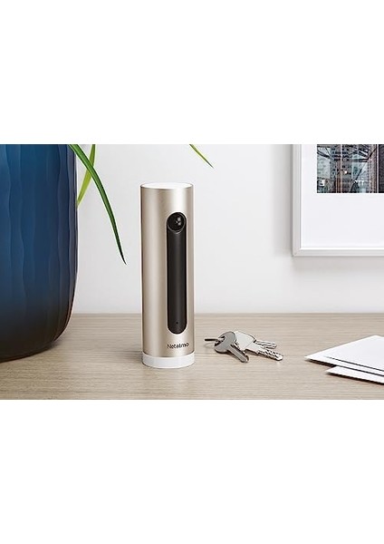 Iç Mekan Akıllı Kamerası NSC01-EU modelleri