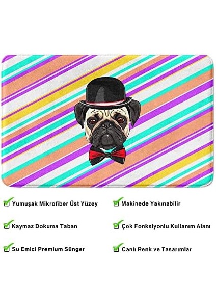 Sevimli Tasarımlı Mikrofiber Paspası, Kaymaz Taban, Yıkanabilir (246_BPSM, 40X60) modelleri