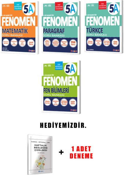 Fenomen Yayınlıcılık 5.sınıf A Grubu 4'li Set (Güncel) modelleri