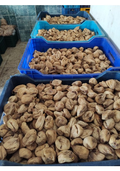 Dağ Inciri Lüx Kuru Incir Şeffaf Poşette 1000GR Dal Kurusu modelleri