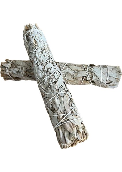 California 22CM Tütsü Demeti -%100 ve Sürdürülebilir Üretim - 2&apos;li Set