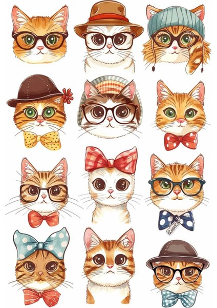 Kedi Telefon Laptop Notebook Tablet Defter Matara Stiker Etiket ST2146