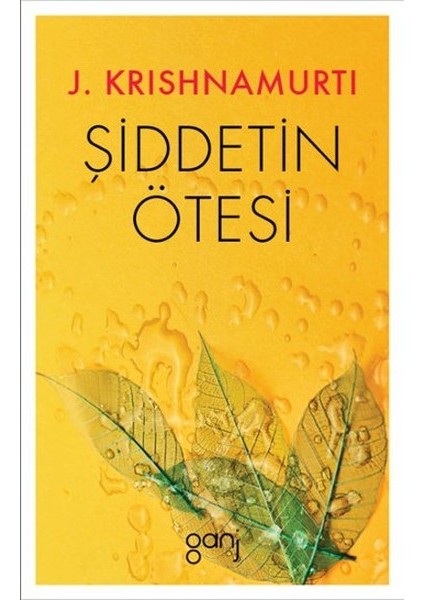 Şiddetin Ötesi