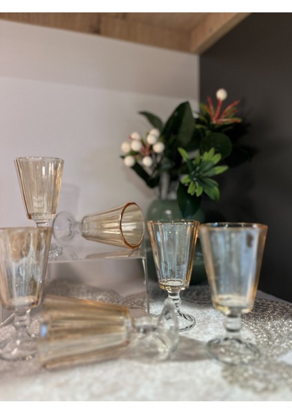 6 Adet Sigma Bal Rengi Kahve Yanı Bardağı fiyatları