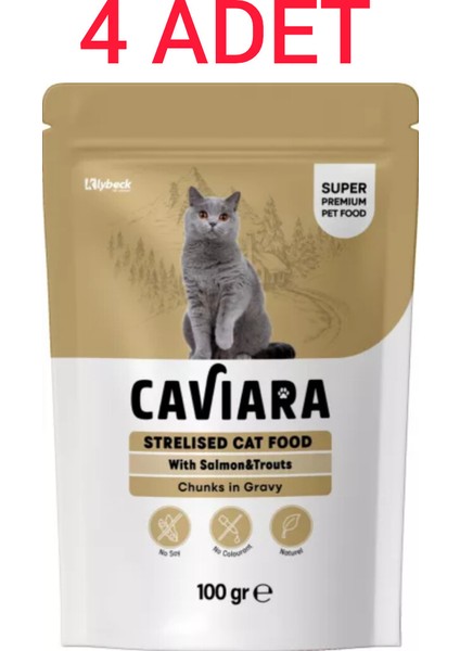 Pouch Sos Içinde Et Parçacıklı Somon ve Alabalıklı Kısır Kedi Maması 100 gr X4