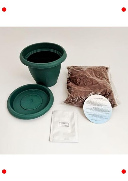 Mini Saksıda Domates Fidelik Dikim Seti modelleri