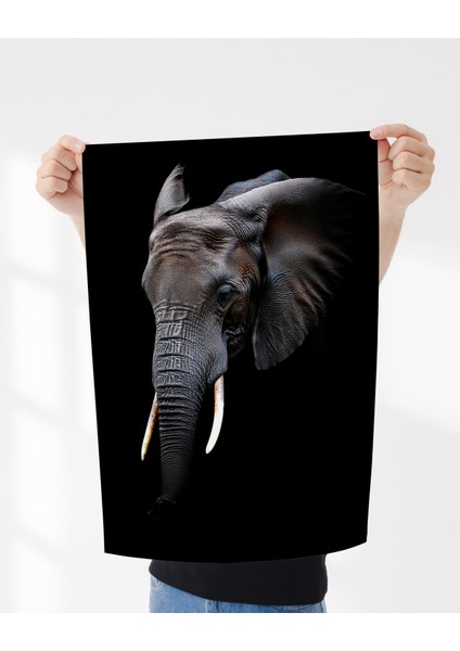 Çerçevesiz Poster,4'lü Hayvan Posterleri Aslan,panter,fil,at Dijital Baskı Karanlık Temalı Hayvanposteri modelleri