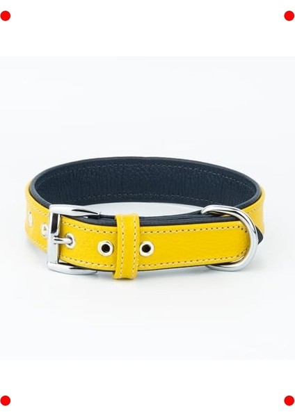 Gerçek Deri Köpek Tasması - Ultra Dayanıklı, Çift Katmanlı