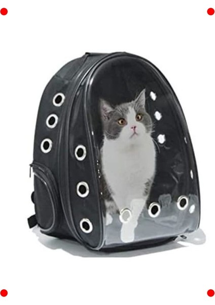 Şeffaf Astronot Kedi Taşıma Sırt Çantası