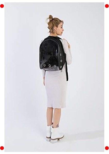 Şeffaf Astronot Kedi Taşıma Sırt Çantası indirimleri