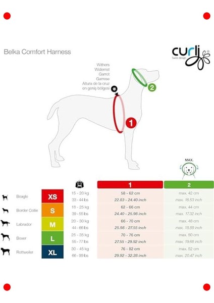Konforlu Kahverengi Evcil Hayvan Tasması Xs fırsatları