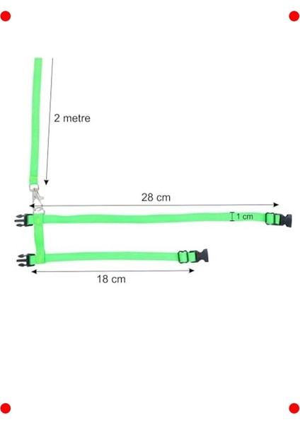 Kemirgen & Tavşan Gezdirme Tasması - 2 Metre Kordon fiyatları