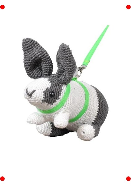 Kemirgen & Tavşan Gezdirme Tasması - 2 Metre Kordon modelleri