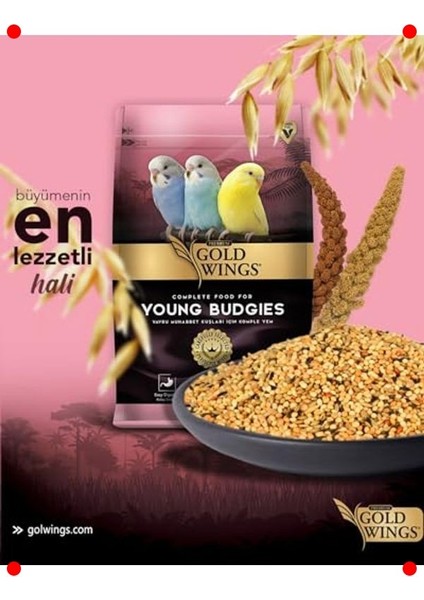 Premium Yavru Muhabbet Kuşu Yemi 1 kg modelleri