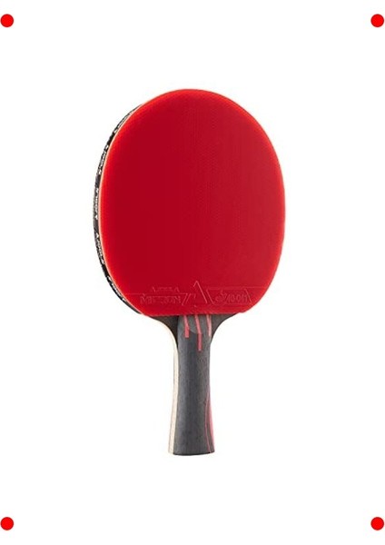 Ileri Seviye Karbon Kevlar Masa Tenisi Raketi