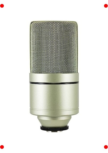 Profesyonel Kondenser Stüdyo Mikrofonu fırsatları