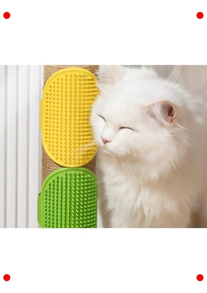 Evcil Hayvan Tüy Toplama ve Banyo Fırçası indirimleri