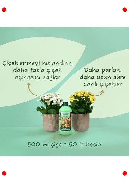 Çiçekli Bitkiler ve Sardunyalar Için Sıvı Gübre, 500ML fiyatları