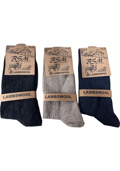 Bsm Lamswool Kışlık Erkek Çorap 3 Adet fiyatları