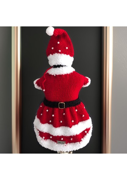 Kedi ve Köpek için Noel Anne Kostümü modelleri
