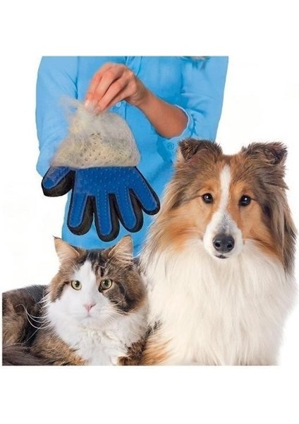 - Tüy Toplayan Kedi Temizleme Eldiveni - Tüy Toplama Eldiveni