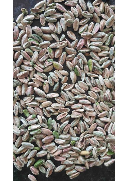 Baklavalık Iç Fıstık