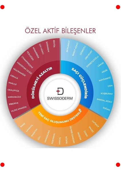 Dökülme Karşıtı Şampuan, Yağlı Saçlar, 300 ml indirimleri